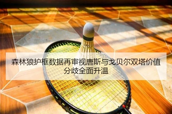 森林狼护框数据再审视唐斯与戈贝尔双塔价值分歧全面升温